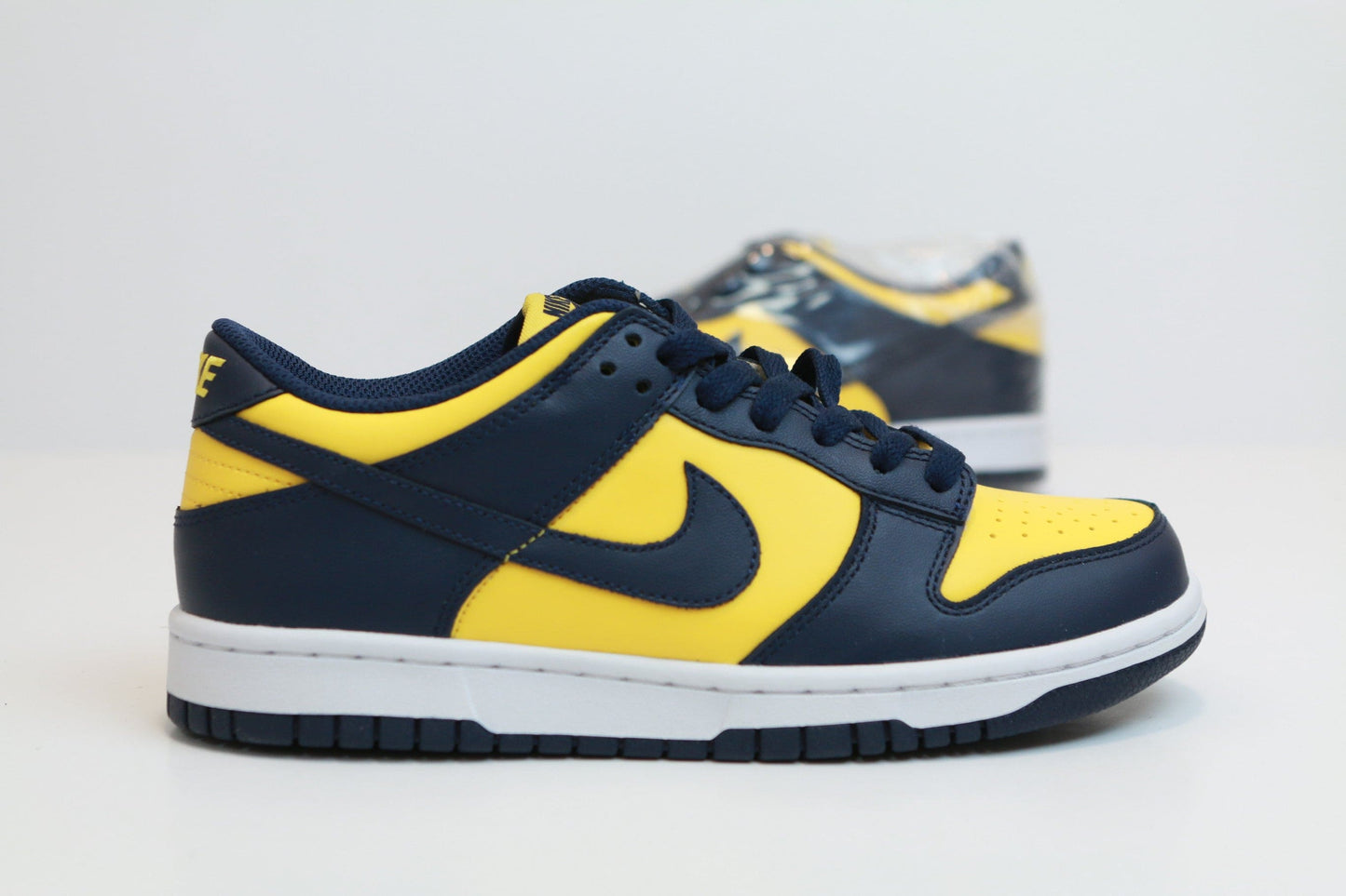 NIKE DUNK LOW MICHIGAN DS SIZE 6Y